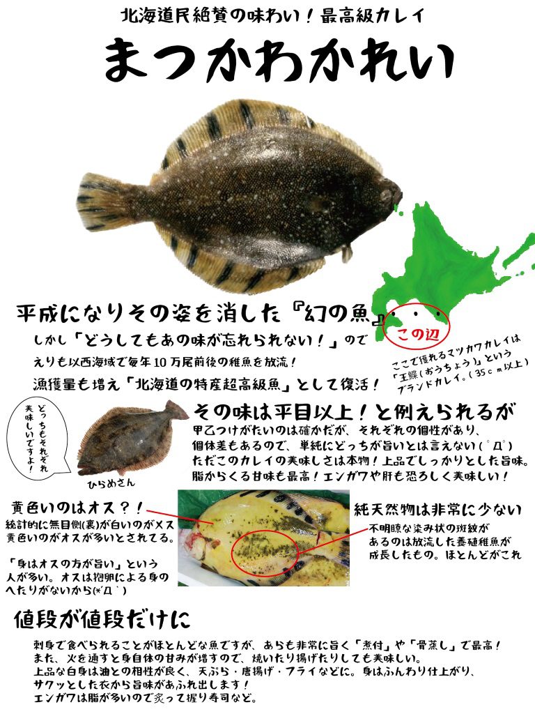 魚図鑑 まつかわかれい さかなの仕入れ屋 大阪で美味しい魚を安く仕入れる