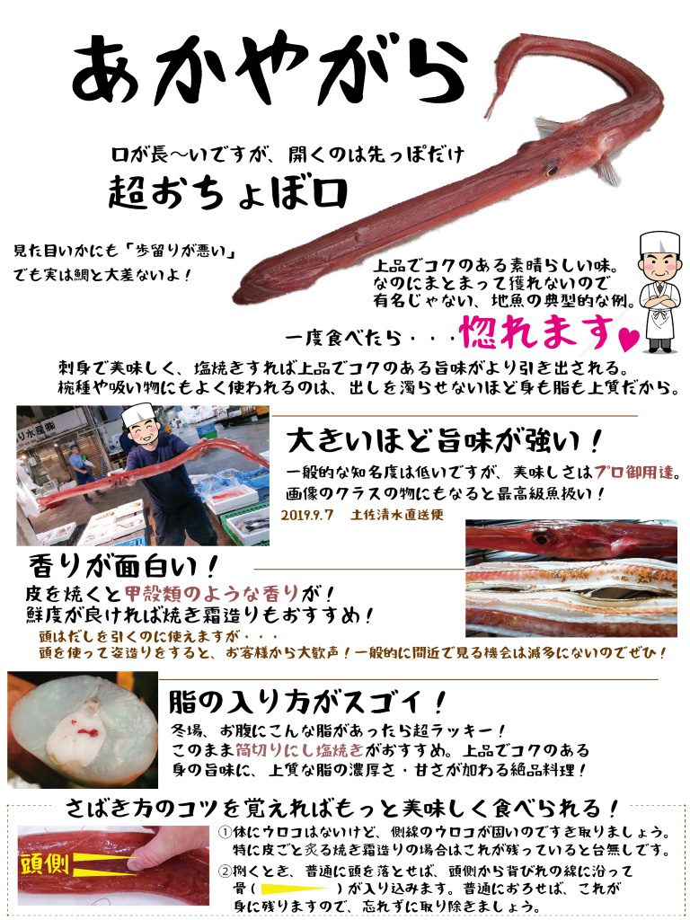 魚図鑑 あかやがら さかなの仕入れ屋 大阪で美味しい魚を安く仕入れる