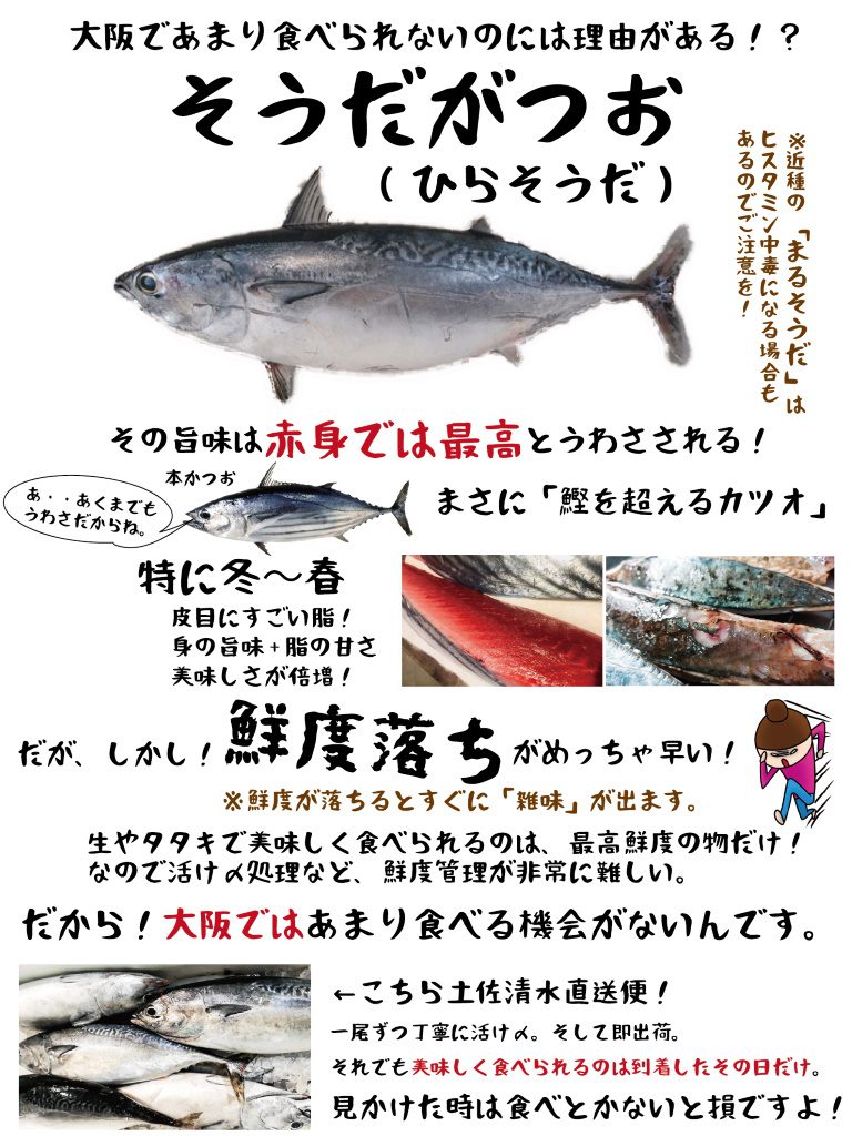 魚図鑑 そうだがつお さかなの仕入れ屋 大阪で美味しい魚を安く仕入れる