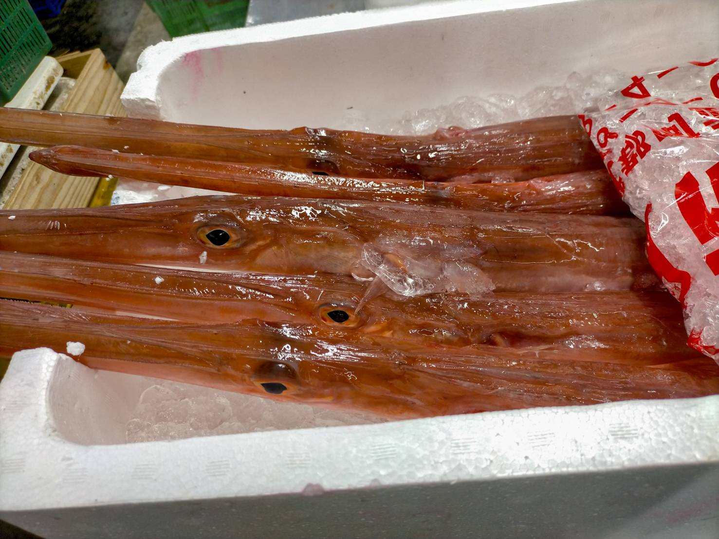 これが珍魚の中では最高級魚 旨味がすごいアカヤガラ さかなの仕入れ屋 大阪で美味しい魚を安く仕入れる