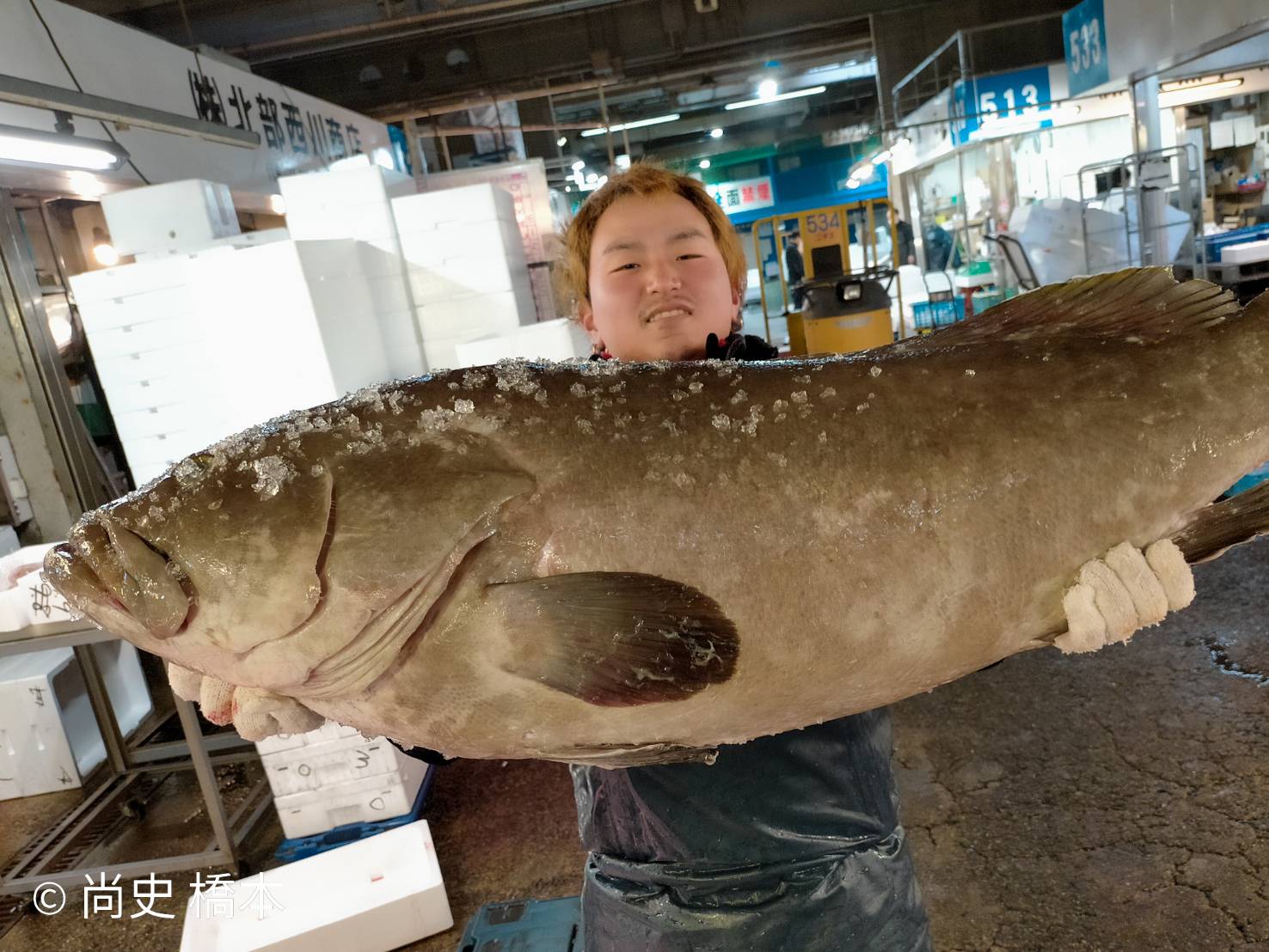 最高級魚 はまだい 天然くえ 魚の仕入れならお任せください さかなの仕入れ屋 大阪で美味しい魚を安く仕入れる