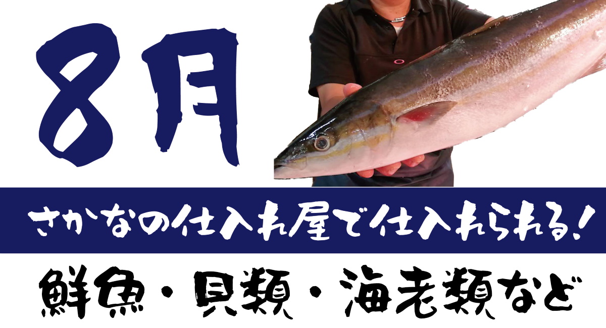 夏が旬の魚 ８月市場に入荷する鮮魚 貝類 海老などの仕入れ さかなの仕入れ屋 大阪で美味しい魚を安く仕入れる