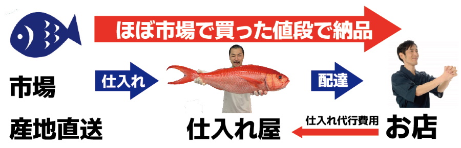 さかなの仕入れ屋 大阪で美味しい魚を安く仕入れる 個人経営 小規模店舗様の強い味方 魚介の仕入れの悩み解決します